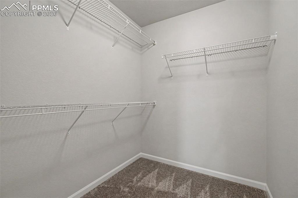 4467 Hessite Loop Colorado Springs, CO 80938 - Photo 23 of 37 a view of a room with racks on the wall
