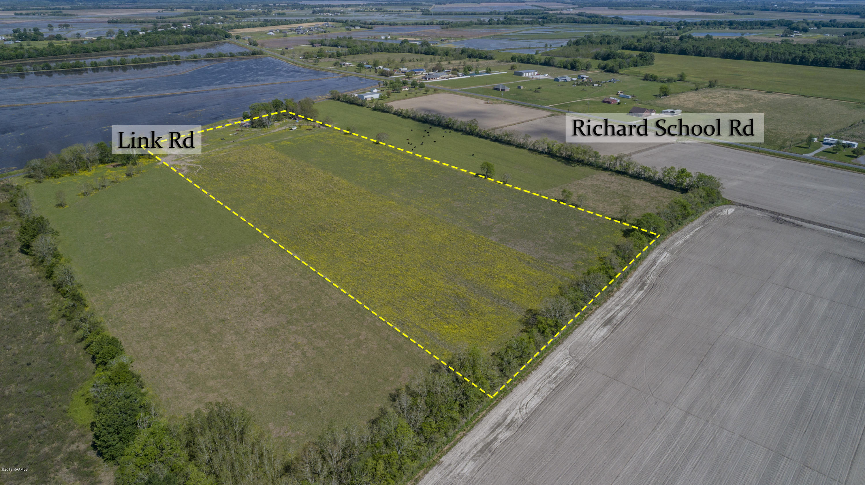 1430 Link Road Branch, LA 70516 - Photo 1 of 7 Gallery Image 1