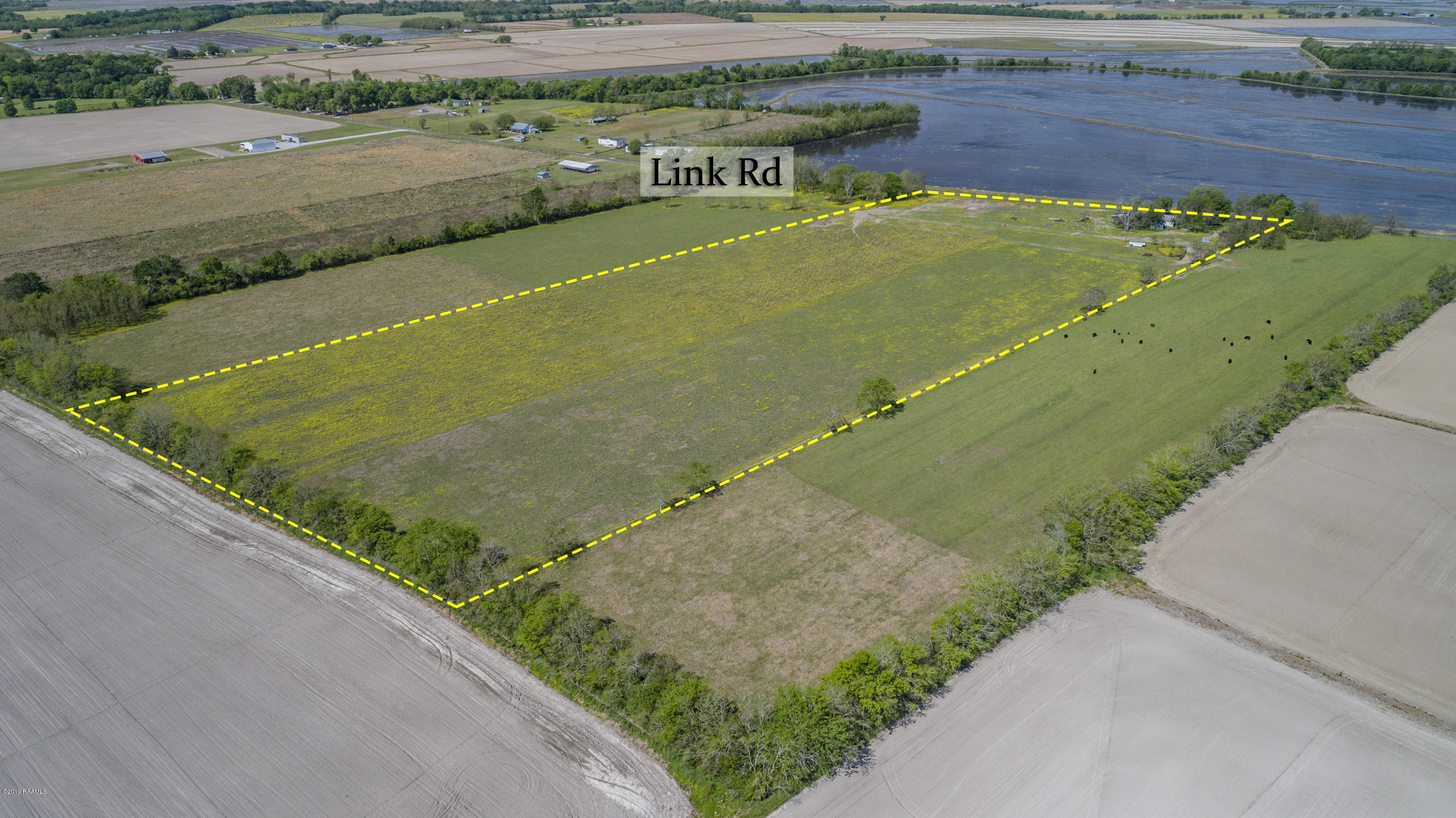 1430 Link Road Branch, LA 70516 - Photo 2 of 7 Gallery Image 2