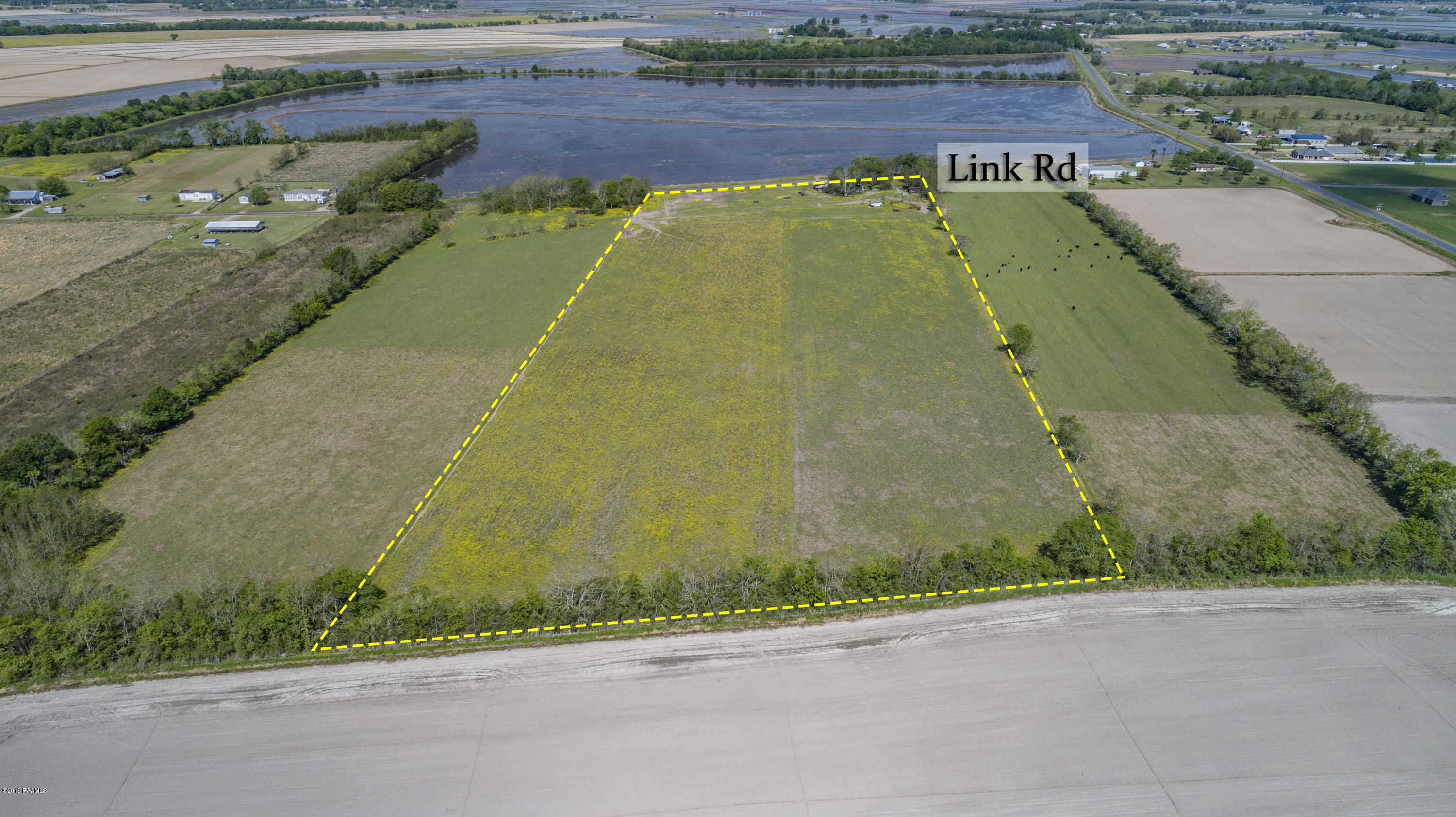 1430 Link Road Branch, LA 70516 - Photo 3 of 7 Gallery Image 3