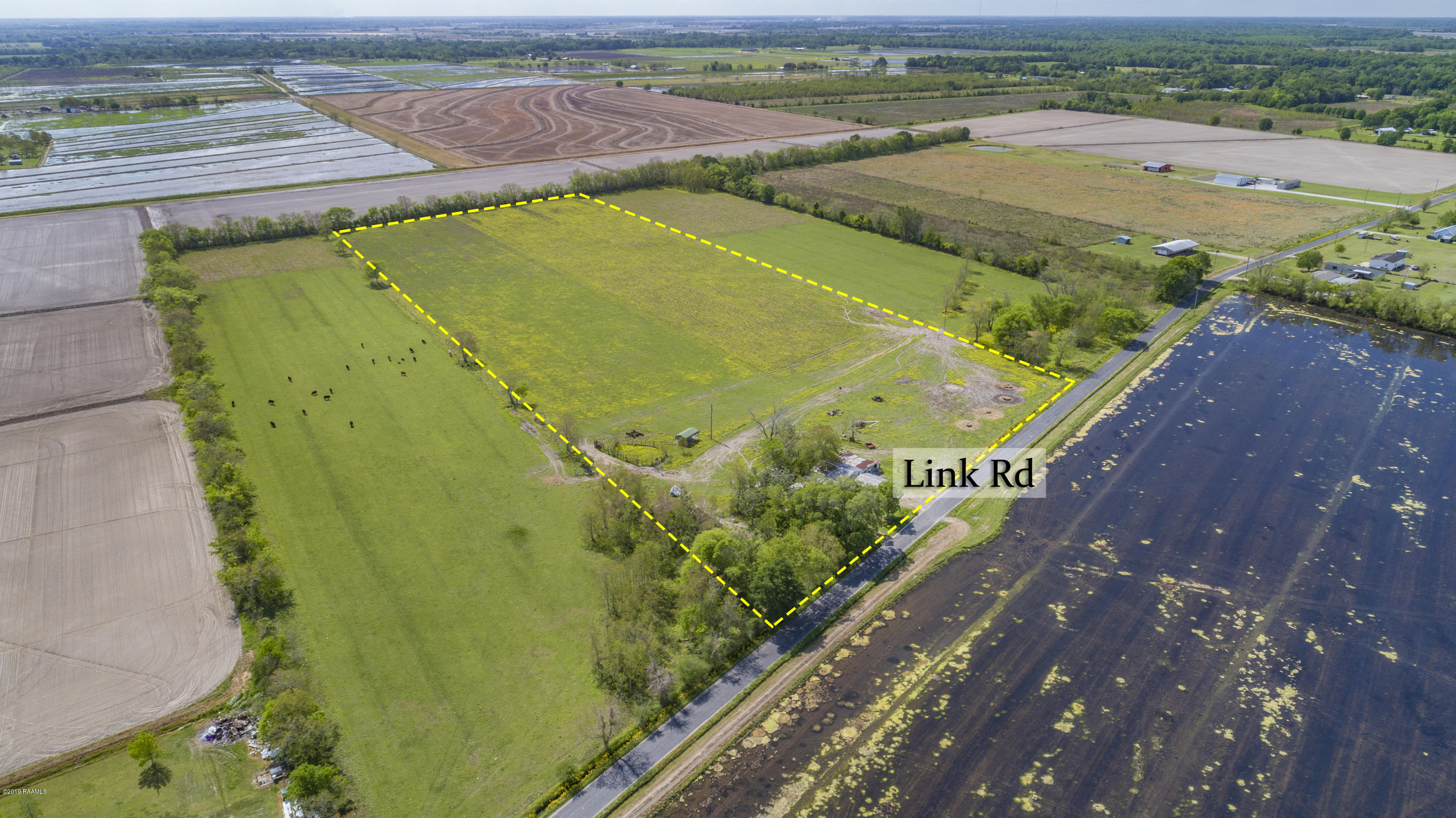 1430 Link Road Branch, LA 70516 - Photo 5 of 7 Gallery Image 5