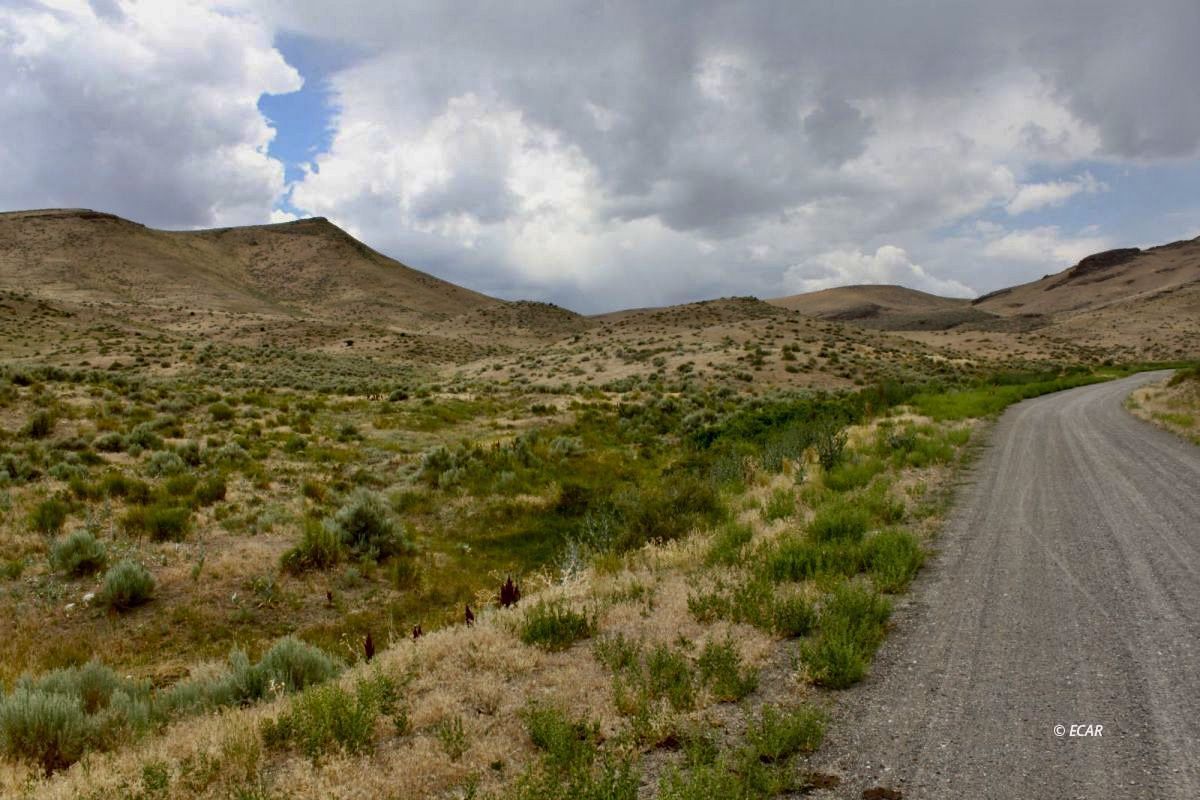 5th Street Elko, NV 89801 - Photo 10 of 20