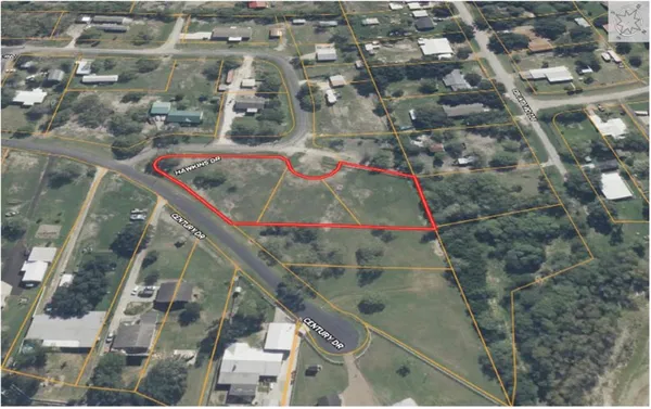 view of a vase of flowers