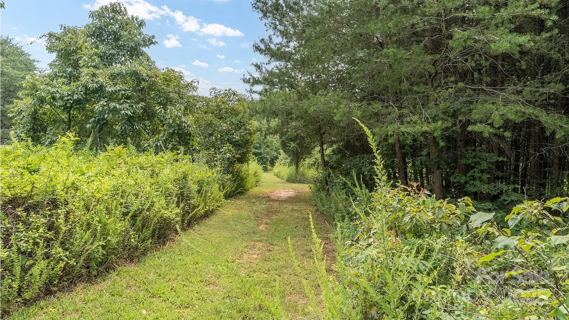 4220 Mt Beulah Road Maiden, NC 28650 - Photo 11 of 13 a view of a garden with plants and large trees