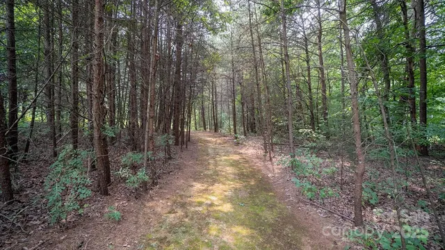 a view of outdoor space and green space