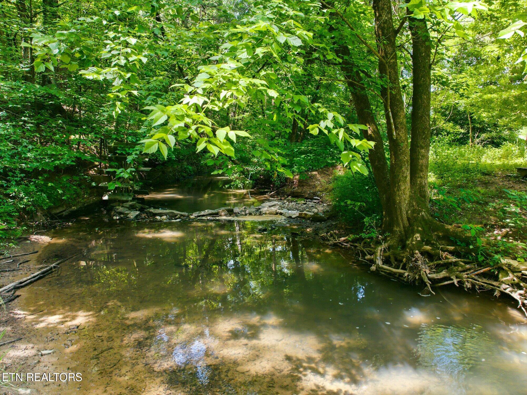 140 Donahue Road Luttrell, TN 37779 - Photo 8 of 36 08-140-Donahue-Rd-Luttrell-TN-8