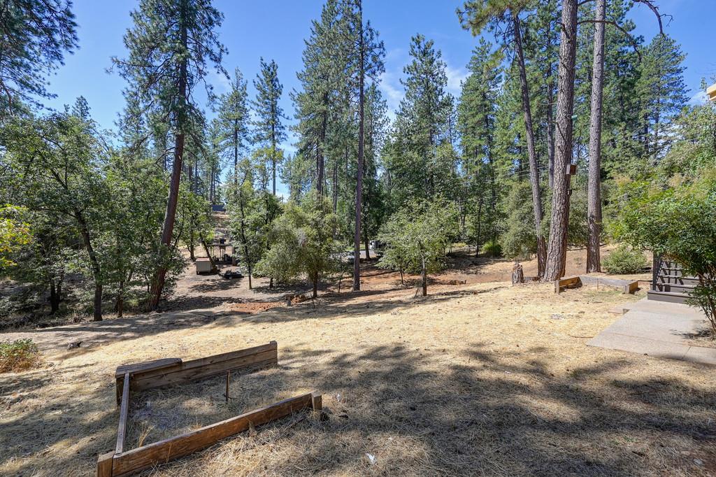 1130 Calen Way Colfax, CA 95713 - Photo 19 of 58