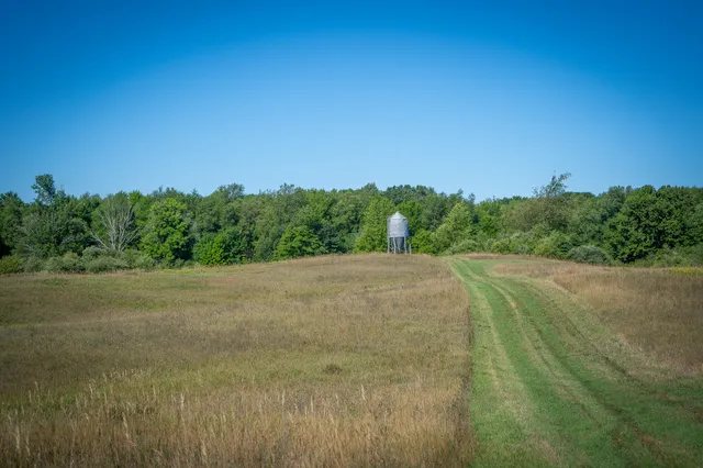 $124,000 | Parcel B North 168th Avenue, Walkerville, MI 49459