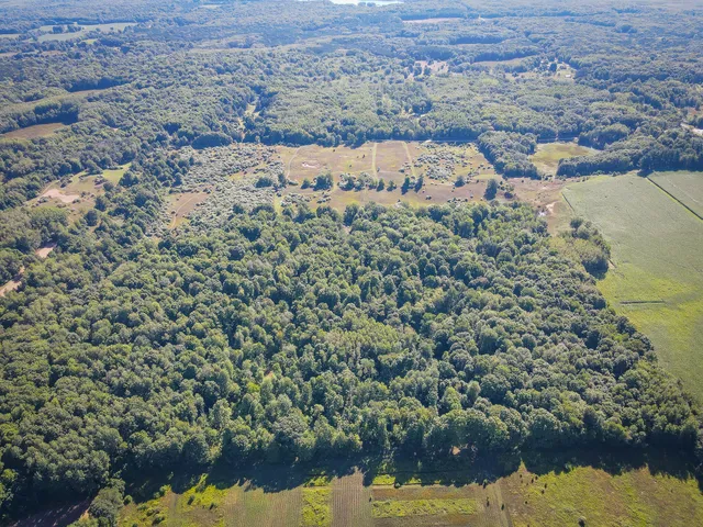 $124,000 | Parcel B North 168th Avenue, Walkerville, MI 49459