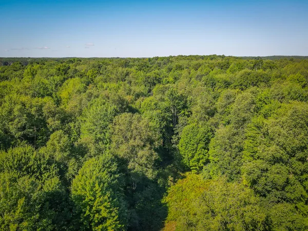 $107,500 | Parcel B North 168th Avenue, Walkerville, MI 49459