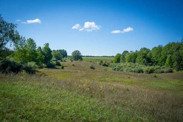 $124,000 | Parcel B North 168th Avenue, Walkerville, MI 49459