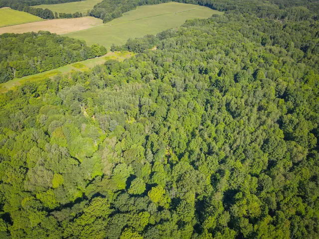 $124,000 | Parcel B North 168th Avenue, Walkerville, MI 49459