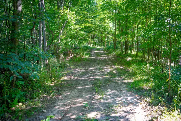 $107,500 | Parcel B North 168th Avenue, Walkerville, MI 49459