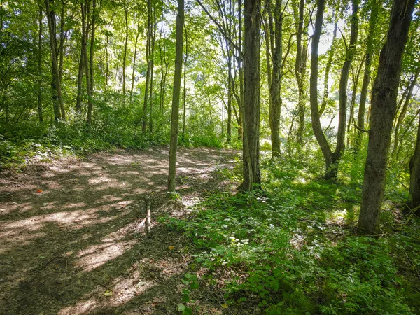 $107,500 | Parcel B North 168th Avenue, Walkerville, MI 49459