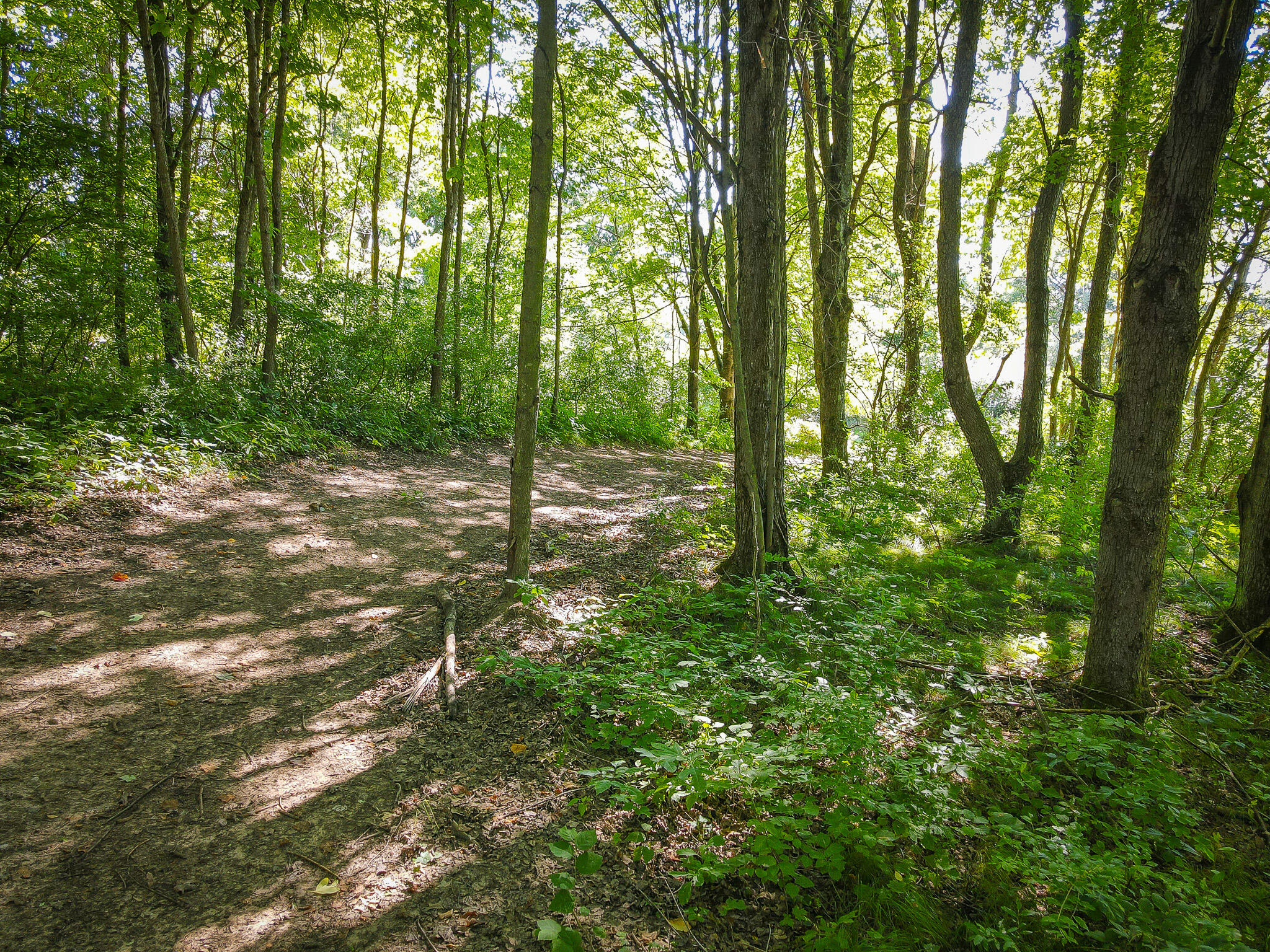Parcel B North 168th Avenue Walkerville, MI 49459 - Photo 6 of 39 Parcel B