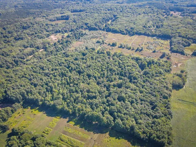 $124,000 | Parcel B North 168th Avenue, Walkerville, MI 49459