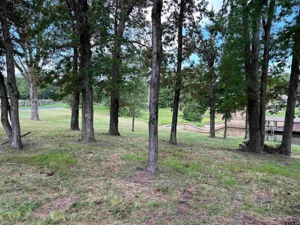 a view of a yard with trees and houses