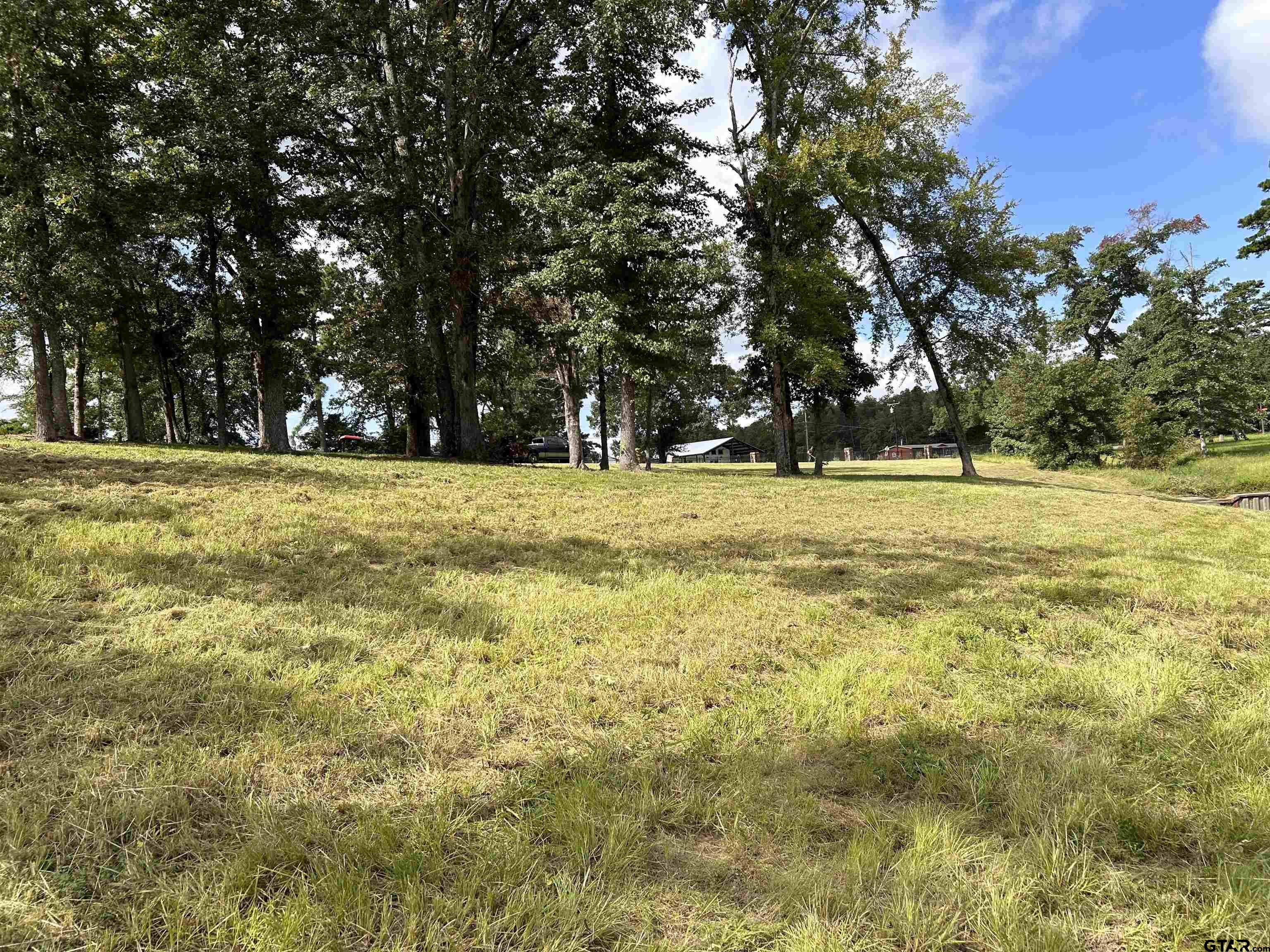 0 Jamison Drive Chandler, TX 75758 - Photo 8 of 22