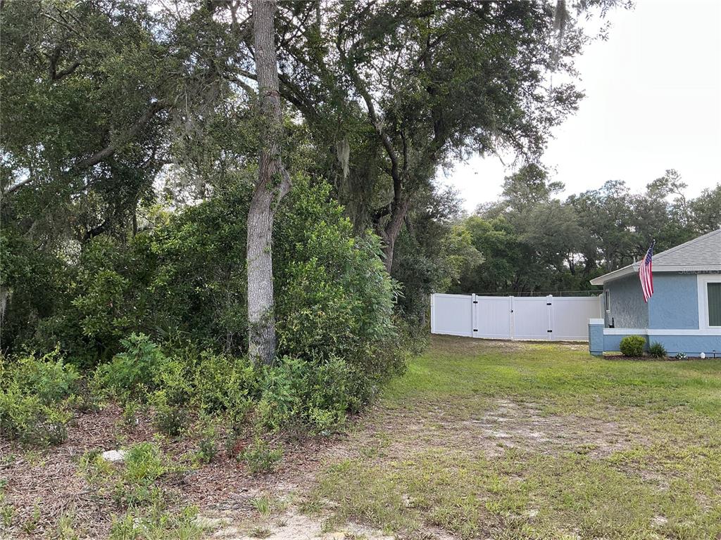 Olive Road Ocala, FL 34472 - Photo 5 of 7 Gallery Image 5