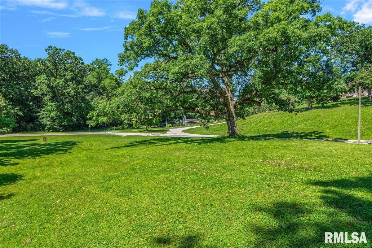 523 Wood Avenue Springfield, IL 62702 - Photo 29 of 30 Gallery Image 29