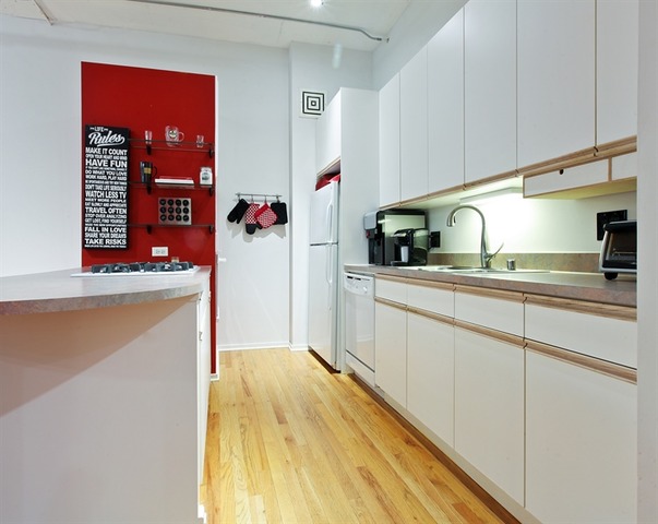 130 South Canal Street, Unit 510 Chicago, IL 60606 - Photo 6 of 16