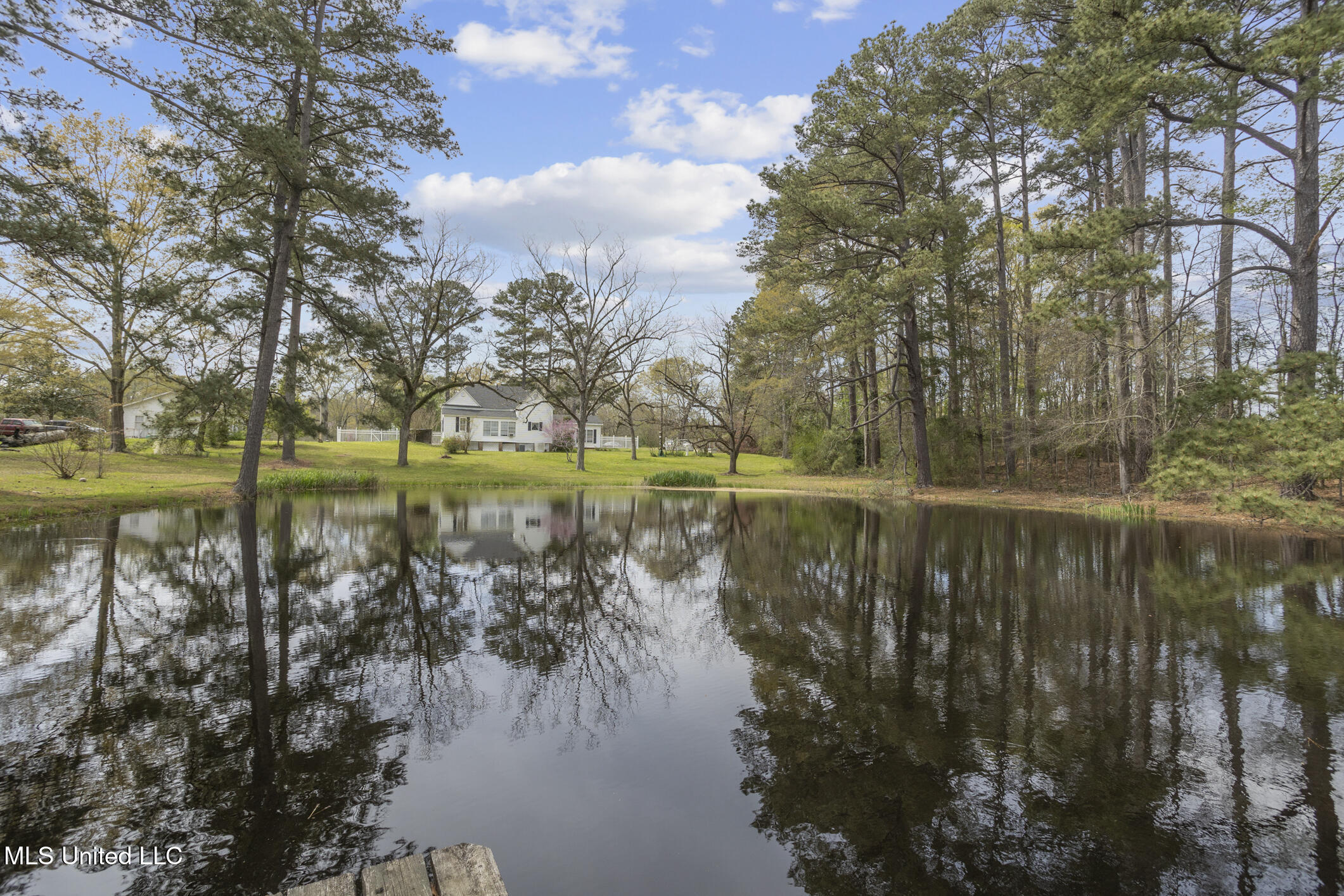 810 North Maple Drive Braxton, MS 39044 - Photo 12 of 29 810 Maple-12