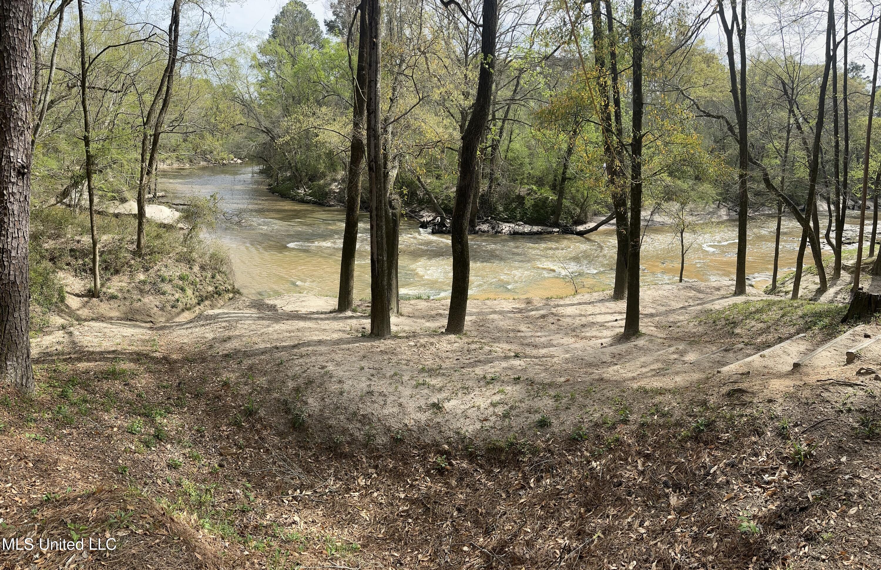 810 North Maple Drive Braxton, MS 39044 - Photo 28 of 29 D LO Water park