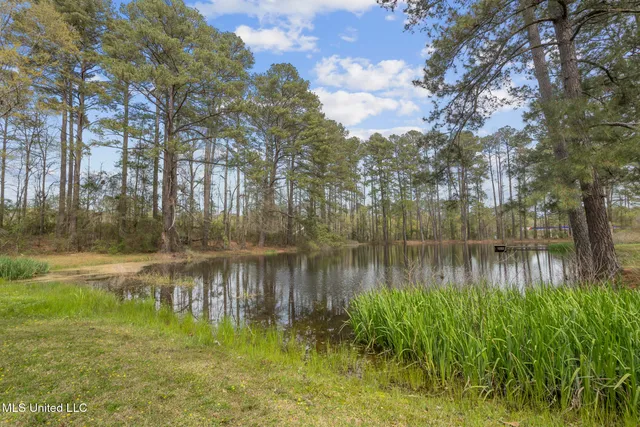 $219,000 | 810 North Maple Drive, Mendenhall, MS 39114