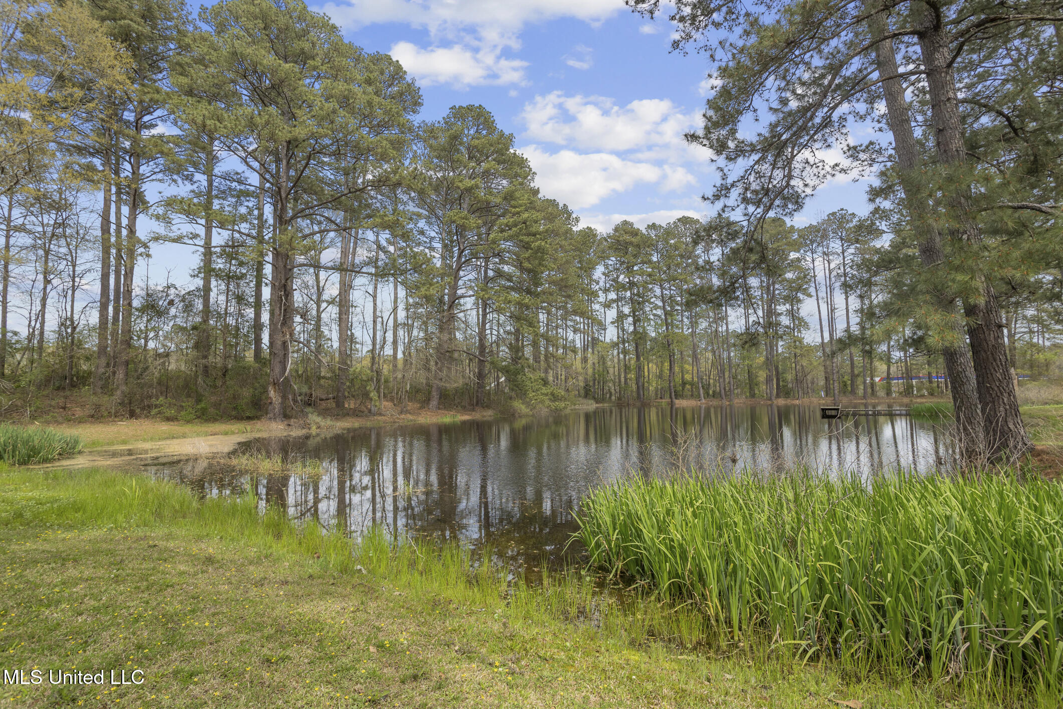810 North Maple Drive Braxton, MS 39044 - Photo 10 of 29 810 Maple-10