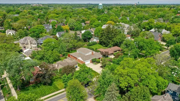 a view of a bunch of trees and bushes