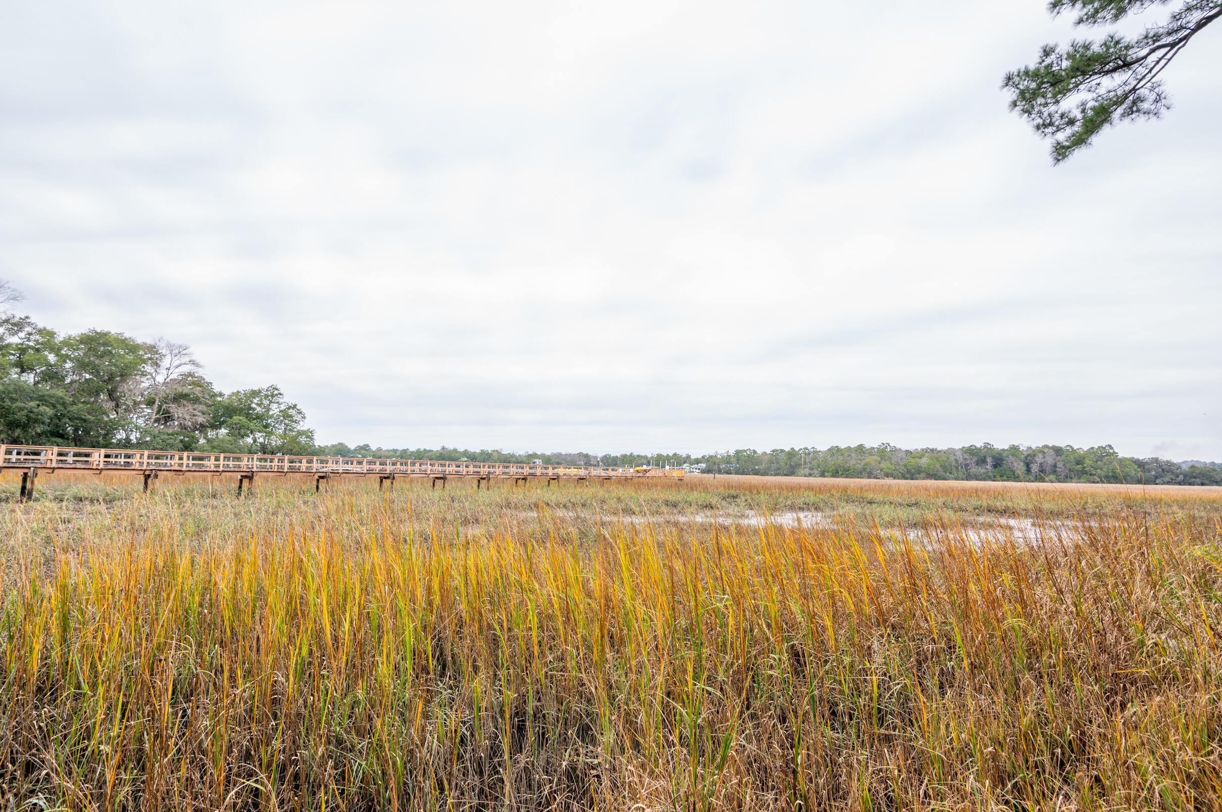 6126 Vaux Road Beaufort, SC 29906 - Photo 15 of 90 _0Z65675