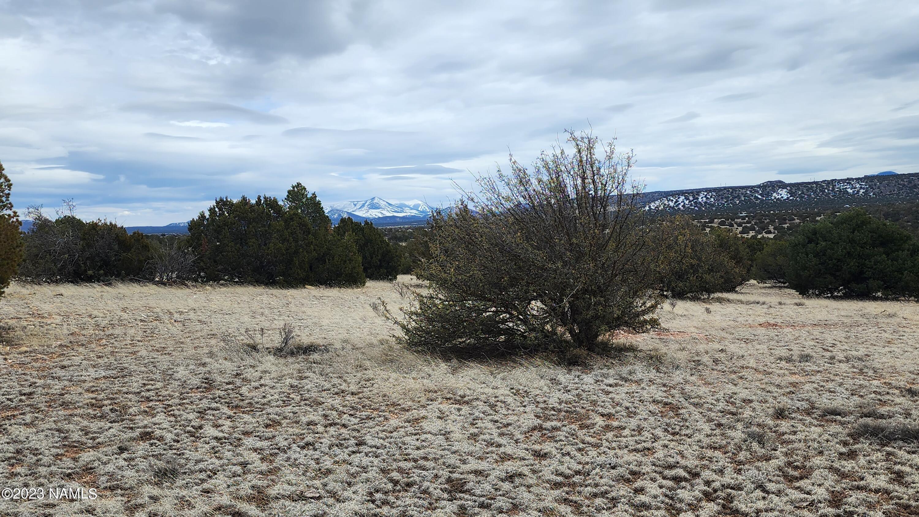 9401 Latigo Road, Unit 252 Williams, AZ 86046 - Photo 7 of 18 20230314_133439