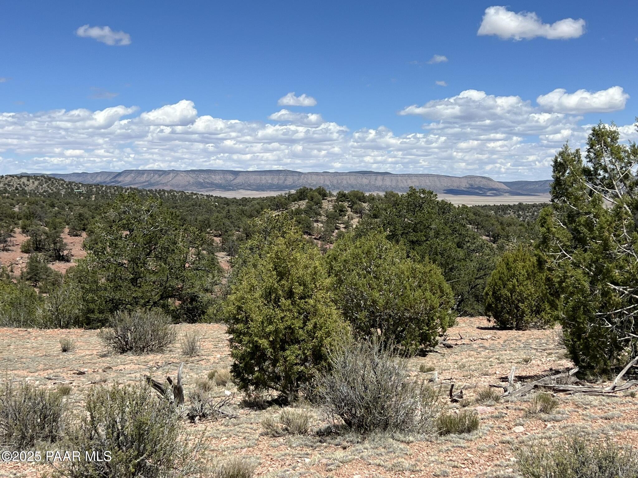 325 Dusty Rose Ranch Road Seligman, AZ 86337 - Photo 1 of 9 IMG_8123