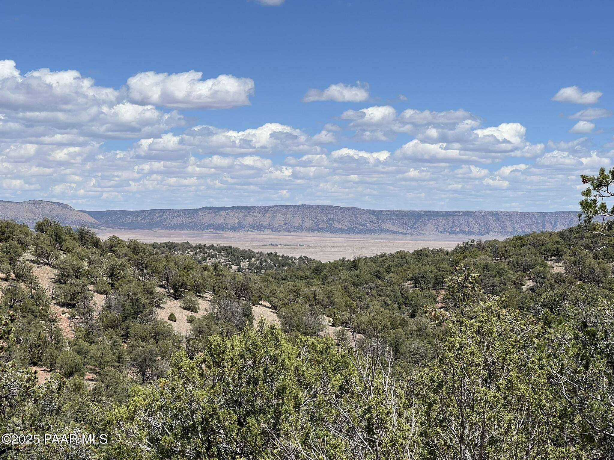 325 Dusty Rose Ranch Road Seligman, AZ 86337 - Photo 2 of 9 IMG_8119