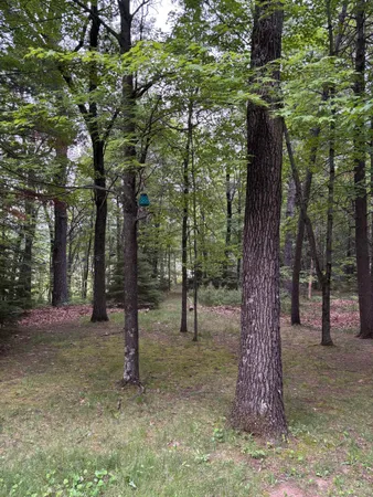 $115,000 | N7116 West Lake Crest Drive, Shawano, WI 54166