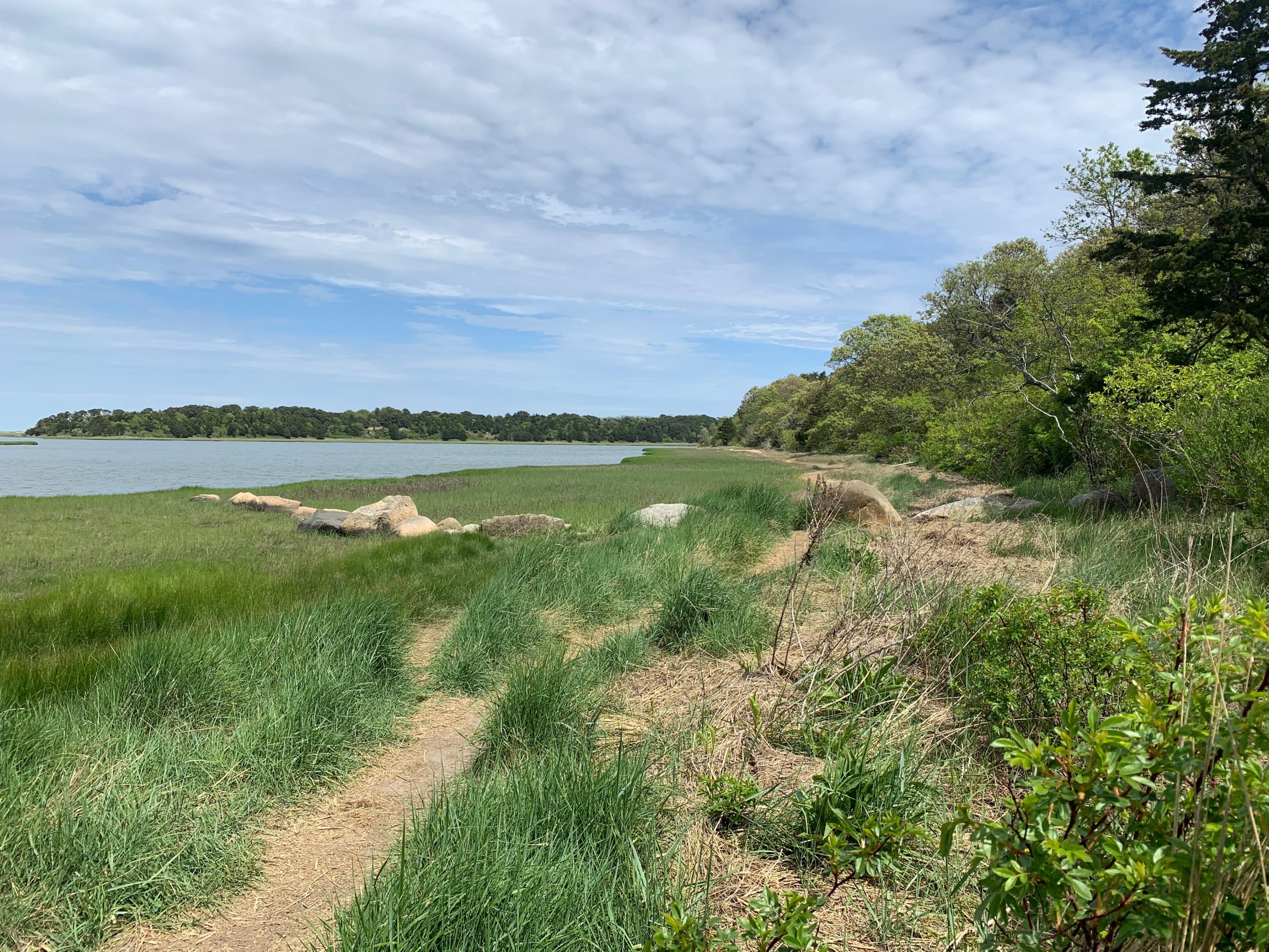 36 Oldfield Road Orleans, MA 02653 - Photo 38 of 42 IMG_6134