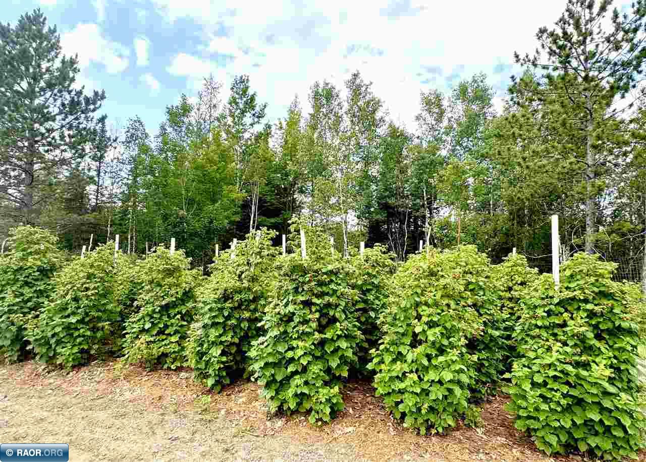 4163 North Ramshaw Road Iron, MN 55751 - Photo 32 of 36
