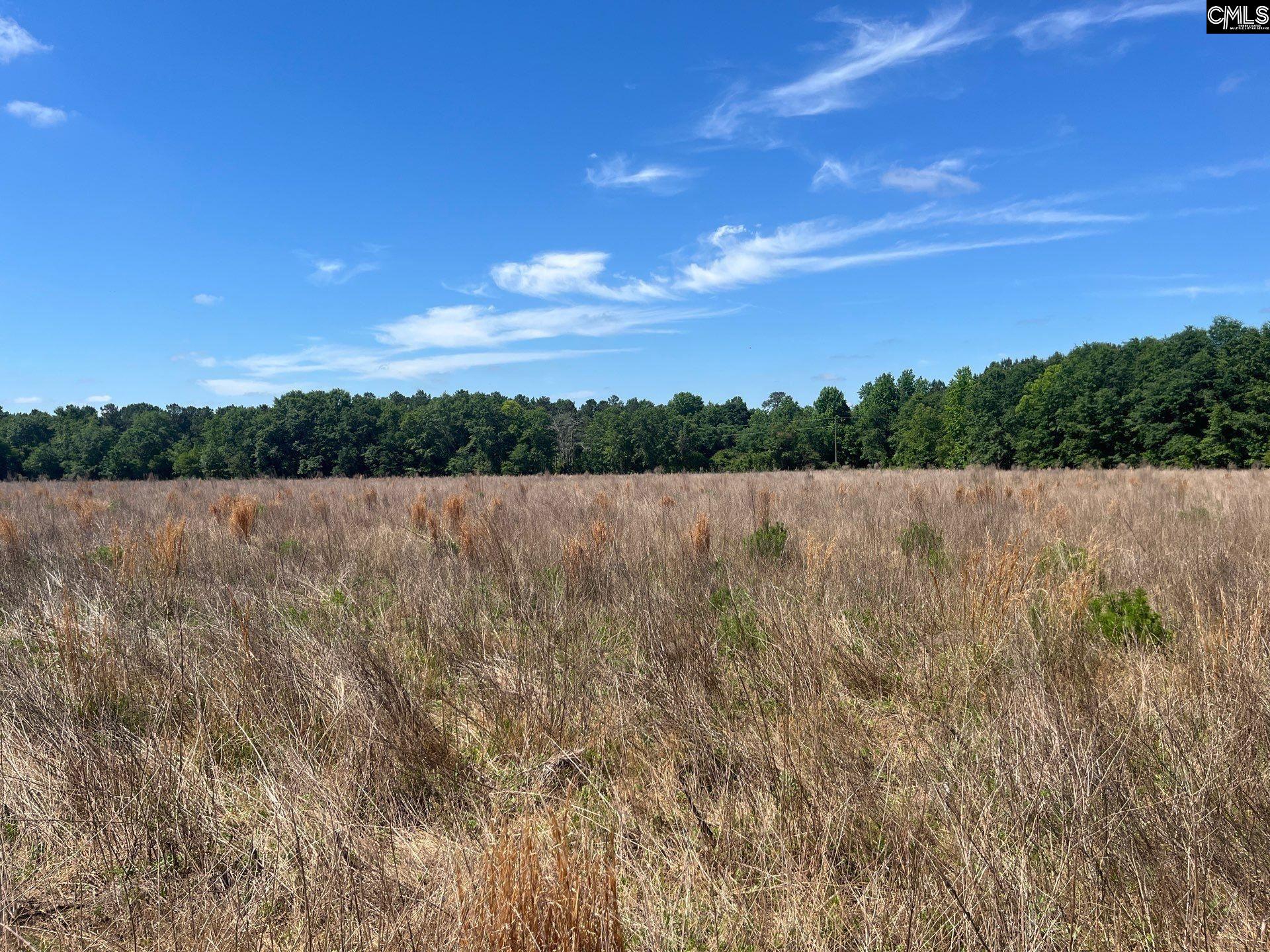 6 Salley Road Salley, SC 29137 - Photo 11 of 14 Gallery Image 11