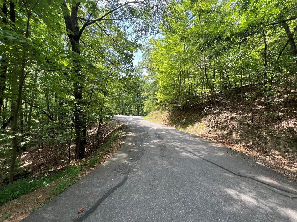 Lot 32 Mission Ridge Hayesville, NC 28904 - Photo 5 of 11