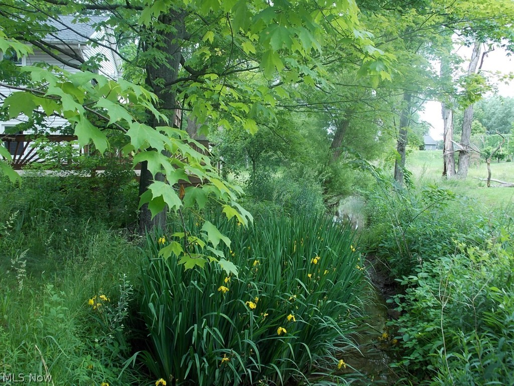 3260 Hartland Center Road Collins, OH 44826 - Photo 20 of 20 Perennials line the creek that runs behind house.
