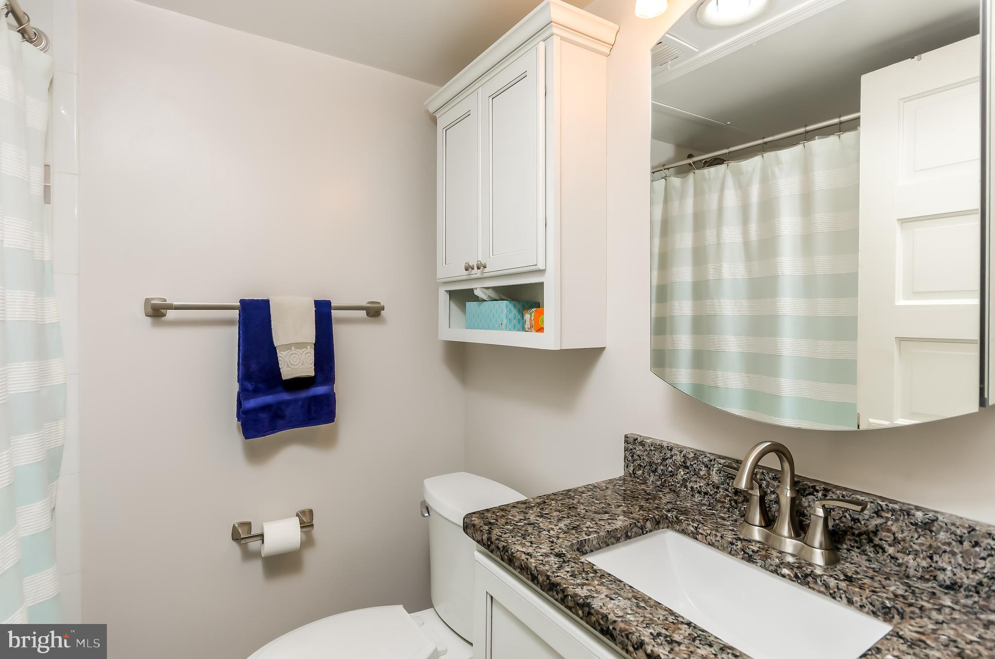 9 Russell Road, Unit B Alexandria, VA 22301 - Photo 14 of 22 Bathroom