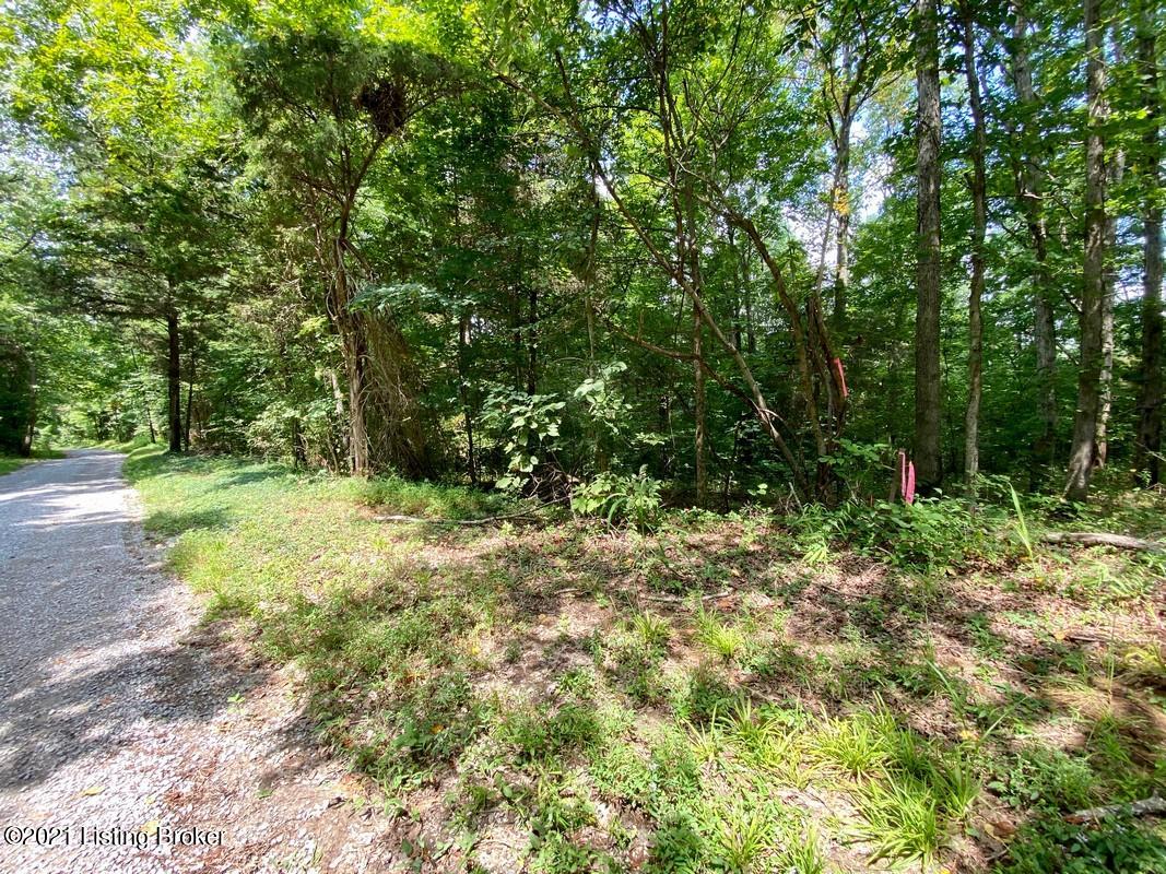 Lot 2-0 Wax Road Clarkson, KY 42726 - Photo 2 of 7 Logsdon Acres North Farm4