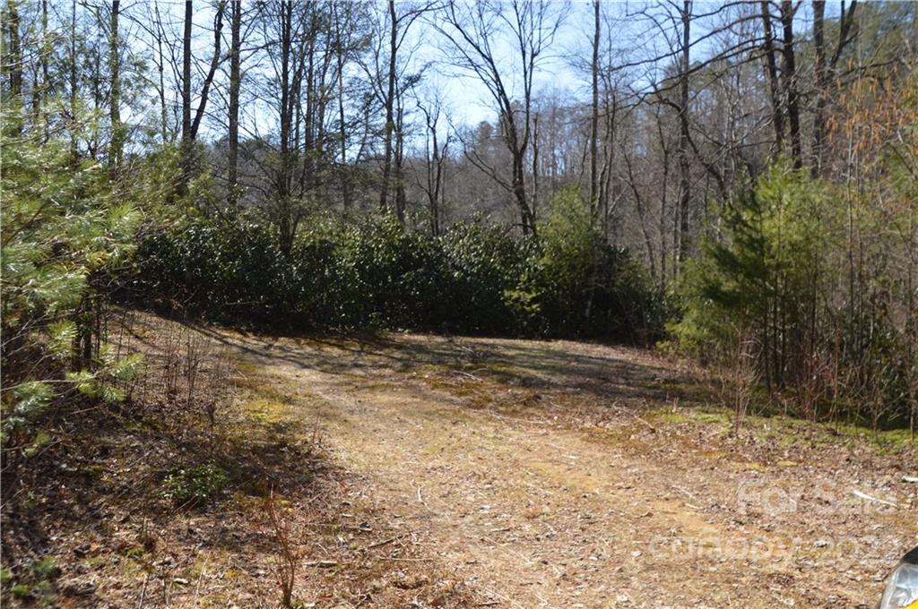 1132 Frozen Creek Road Brevard, NC 28712 - Photo 11 of 16 Gallery Image 11