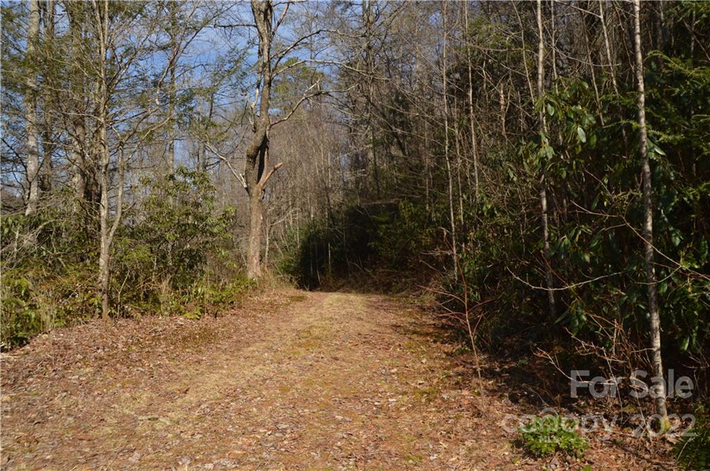 1132 Frozen Creek Road Brevard, NC 28712 - Photo 12 of 16 Gallery Image 12