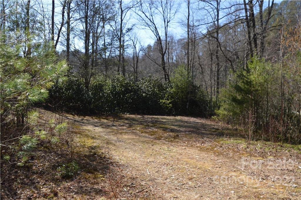 1132 Frozen Creek Road Brevard, NC 28712 - Photo 13 of 16 Gallery Image 13