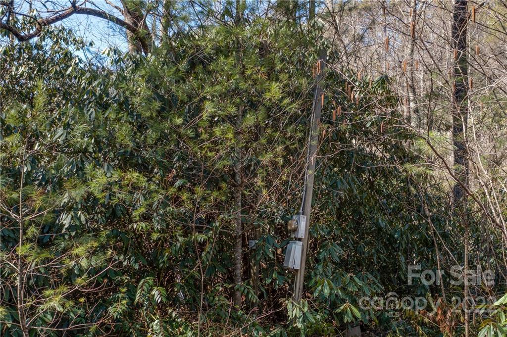 1132 Frozen Creek Road Brevard, NC 28712 - Photo 14 of 16 Gallery Image 14