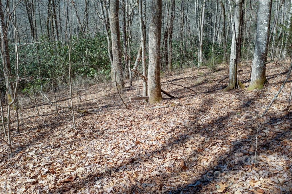 1132 Frozen Creek Road Brevard, NC 28712 - Photo 15 of 16 Gallery Image 15