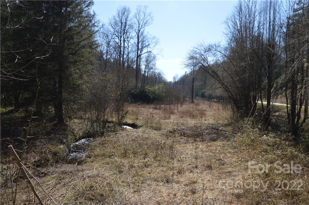 1132 Frozen Creek Road Brevard, NC 28712 - Photo 5 of 16 Gallery Image 5