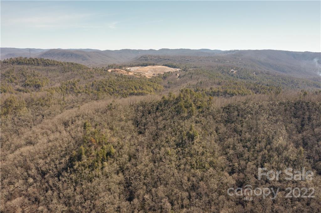 1132 Frozen Creek Road Brevard, NC 28712 - Photo 8 of 16 Gallery Image 8