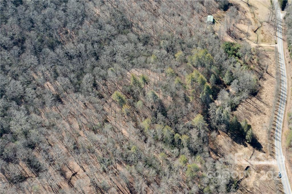 1132 Frozen Creek Road Brevard, NC 28712 - Photo 9 of 16 Gallery Image 9